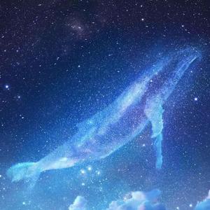 ♥5号房韩宝贝仙女屋
